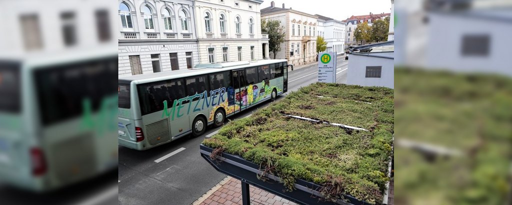 Bienenfreundlich und gut fürs Mikroklima: Erstes Buswartehäuschen in Bamberg mit Gründach errichtet