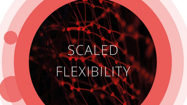 Crossroads Makrotrends: Scaled Flexibility