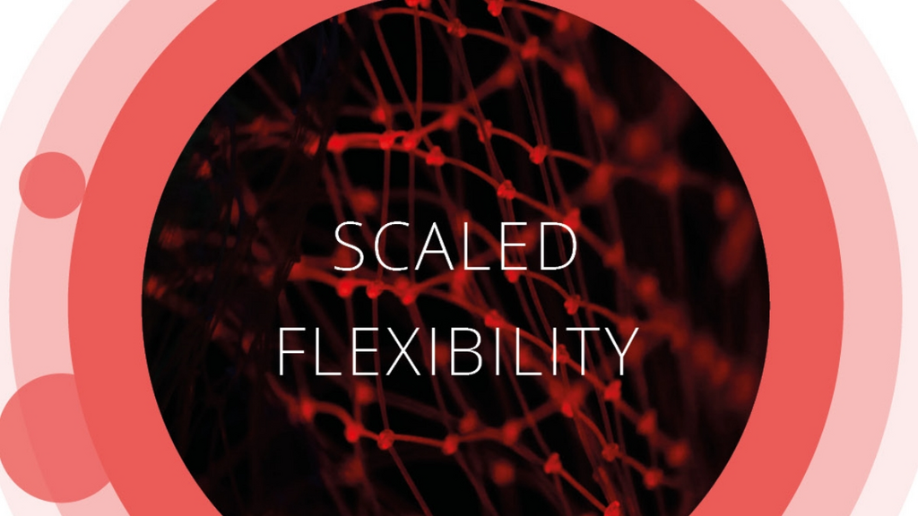Crossroads 2021 Makrotrends: Scaled Flexibility